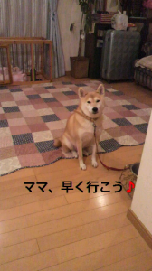 ☆ああ、勘違い( ￣▽￣;) 画像2
