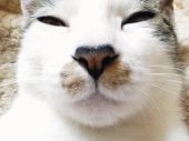 ↑：どうしてますか？ 画像2