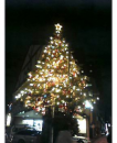 もうクリスマス？