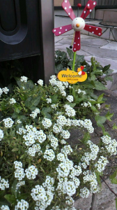 ☆ストレス解消は… 画像1