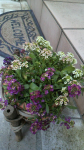 ☆ストレス解消は… 画像2