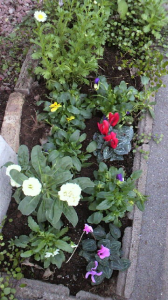 ☆ストレス解消は… 画像3