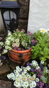 ☆酔った酔った～( 笑) 画像1