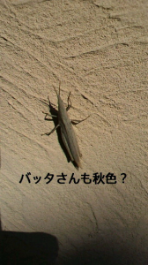 ☆酔った酔った～( 笑) 画像2