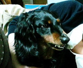 寒くなってきたぞ 画像1