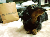 寒くなってきたぞ 画像3