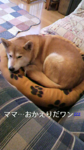 ☆イヤンイヤン・・・(*/ェ＼*) ｨﾔﾝ 画像2