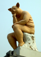 考える豚~~^^。 画像2