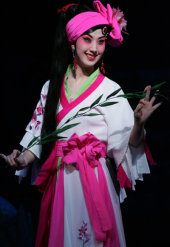 看京劇 画像2