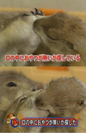 熱愛、スゲー 画像3