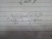 ☆すっきり晴れました！☆ 画像2