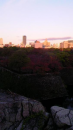 大阪城　朝run♫