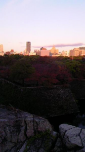 大阪城　朝run♫ 画像2