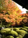 京都の紅葉♪