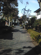 歩いたで～＾＾↓ 画像2