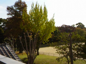 ファンヒーター稼働♪ 画像1