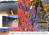 久々の公園 画像1