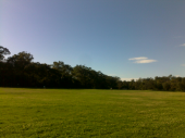 久々の公園 画像2