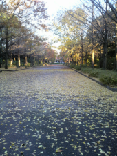 ☆久しぶりの朝ｒｕｎ☆ 画像1