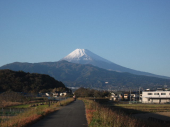 酔っ払いです 画像1