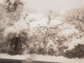ありがとうございました 画像3