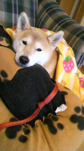 ☆ギシギシ…って 画像2