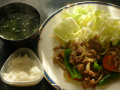 恋しいスイム