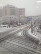 雪の忘年会・・・ 画像1