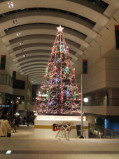 ヨコハマクリスマスイルミネーション★ 画像2