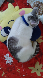 ひと足お先に・・・・ 画像1