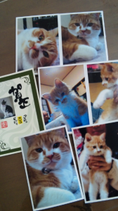 あけましておめでとうございます(⌒▽⌒) 画像2