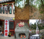 lalala♥初トレイルrun 画像1