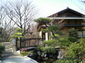 ☆ろうばいが咲く日本庭園☆ 画像2