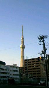 市船　優勝～♪ 画像1