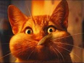 ↑：・・・・・。 画像1