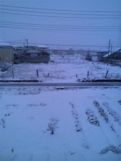 初雪 画像1