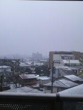 ☆雪になりましたね☆ 画像1