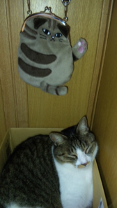Bです。 画像1