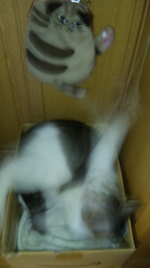 Bです。 画像3