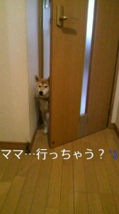 ☆相変わらずの… 画像1