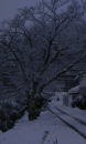 大雪