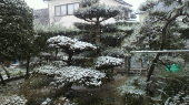 さぶっ。。ﾌﾞﾙﾌﾞﾙ。。。 画像2