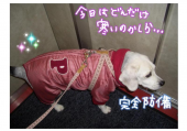 「ほかほか防寒グッツ！」 画像1