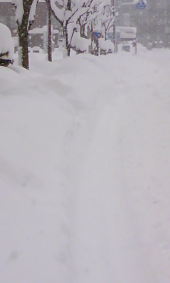 記録的大雪 画像1