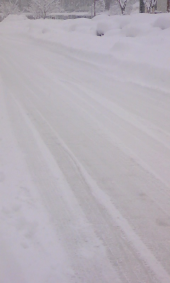 記録的大雪 画像2