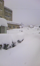 記録的大雪