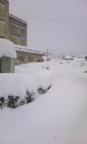 記録的大雪 画像3