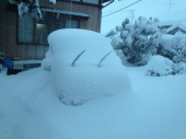 埋もれちゃったぁ～ 画像1