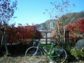 竜神大吊橋