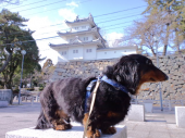 また泣けた 画像2